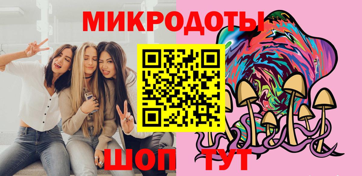 Галлюциногенные грибы Psilocybe Москва