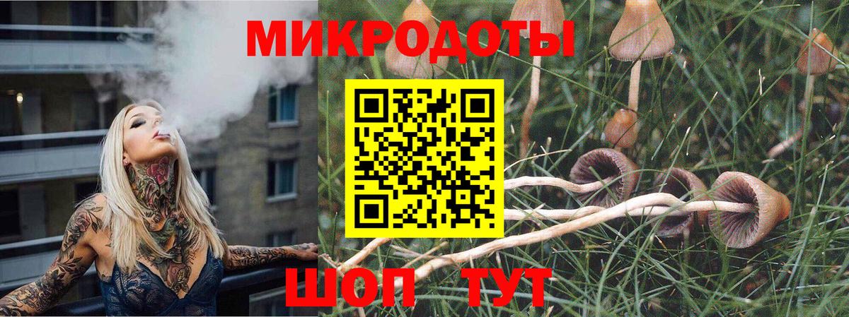 Псилоцибиновые грибы Psilocybine cubensis  Вход с VPN  Москва  Псилоцибиновые грибы Psilocybine cubensis 