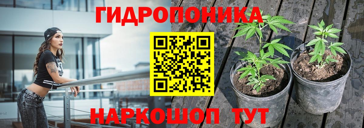 Каннабис план Москва
